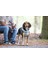 Köpek Göğüs Tasması, Neopren, Yeşil, M, 41-46CM Nrmsa 5