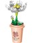 Mikro Yapı Taşları Çiçek Oyuncaklar Diy Ev Masası Fabrikası Serisi Dekorasyon Saksı Simüle Edilmiş Flowermodel Set Çocuk Oyuncakları Hediyeler Renk: Mountainlotu (Yurt Dışından) 1