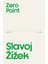 Zero Point : Zizek's Essays 1