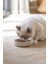 Dbl Kedi Mama Su Kabı, Bambu, Bej 12CM, 250ML Nrmsa 4