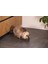 Dbl Kedi Mama Su Kabı, Bambu, Antrasit 12CM, 250ML Nrmsa 2