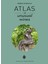 Atlas Of Unusual Wines 1