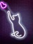 Neon LED Işıklı Kedi 1