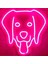 Neon LED Işıklı Köpek 1