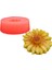 Papatya Silikon Mum Kalıbı M-155 2