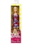 Şık Barbie Bebek DVX89 1 Adet 3