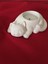 Luxury Kedi Yumurtalık / Mumluk / Seçeceğiniz 3 Adet 1 Adet 4