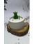 Luxury Royal Elegance - Kibritli - Ayıcığın Rüyası - Kokulu - Dekoratif Soya Mum 1 Adet 2