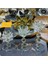 Luxury Lotus Çiçeği Kristal 3 Lü Şamdan Mumluk Set 1 Adet 1