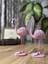 Luxury 2'li Şık Dekoratif Flamingo Pembe Renk Dekor Obje Dekorasyon 1 Adet 2
