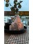 Luxury Dekoratif Ev Tealight Mumluk Modern Kış Evi Konsol Süsü Dekoratif Obje Camları Açık Geniş Ev 1 Adet 2
