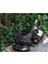 Luxury Dekoratif Şirin Kedi Dekoratif Biblo ( 13.5 Cmx 7.5 Cmx 6.5 Cm) 1 Adet 1