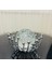 Luxury Dekoratif Metal Damlalı Cam Küre Gümüş Obje 1 Adet 2