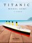 Luxury Titanic Model Gemi - Titanik 1:1000 Model Dekoratif Obje 1 Adet 1