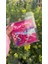 Luxury Love Flowers Hot Tarz Sevgiliye Mini Hediye Buket Wheels Kişiye Özel Örgü Buket Hologram Serisi 1 Adet 2