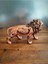 Luxury Aslan Kral Biblo 15CM 1 Adet 3