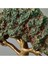 Luxury Deco Bonsai Dekor - Yeşil / Kahverengi - 22 cm 1 Adet 2