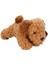 Luxury Cockapoo Yavru Köpek Peluş 25 cm 1 Adet 1