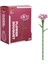 4691 Blx Karanfil 92 Parça -Sunman 1