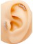 Cerrahi Çelik Piercing Beş Taşlı Kıkırdak Helix Tragus Piercing (1ADET) -V2 1