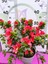 Kırmızı Açelya (Azalea) - Renkli ve Göz Alıcı Çiçekli Bitki 30-40 cm 1
