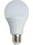 CT-4274B 15W LED Ampul E27 Beyaz Işık 1