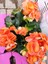 Turuncu Begonia Hiemalis - Göz Alıcı ve Renkli Sezonluk Süs Bitkisi (Çok Yıllık) 1