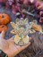 Luxury Yuvarlak Kristal Taşlı Lotus Tea Light Mumluk 1 Adet 3