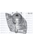 Devirdaim Renault Megane Ii 02 Scenic Ii 03 Laguna Ii 05 Nissan Primera 03 Suzuki Grand Vitara Ii 05 1.9dci F9Q Gnzrz 1