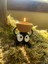 Luxury Susuwatari Mumluk Kömür Cücesi Studio Ghibli Spirited Away Anime Figür Hediyelik Tealight Mum 1 Adet 3