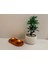 Luxury Elementum Mumluk 1 Adet 1