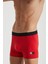 Rome Boxer 2