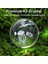 3D Kristal Palyaço Balığı Topu Işık, 3.15 Inç K9 Top Lambası, 16 LED Renk Taban, Yatak Odası Oturma Odası Dekorasyonu Serin Deniz Hayvan Masa Lambası, Çocuklar Soğuk Işık Hediyesi (Yurt Dışından) 4