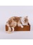 Yaratıcı Simülasyon Kedi Sevimli Terlik Yavru Kedi Bebek Oyuncakları Araba Dekor (Yurt Dışından) 3