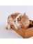 Yaratıcı Simülasyon Kedi Sevimli Terlik Yavru Kedi Bebek Oyuncakları Araba Dekor (Yurt Dışından) 4