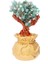 6.7 Inç Para Ağacı Bonsai Tarzı Feng Shui Zenginlik Şans Getir Yeşil (Yurt Dışından) 1