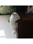 Simülasyon Kedi Hayvan Modeli Dekorasyon Ev Dekorasyonu Sol (Yurt Dışından) 3