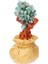 6.7 Inç Para Ağacı Bonsai Tarzı Feng Shui Zenginlik Şans Getir Yeşil (Yurt Dışından) 3