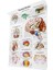 Beyin Anatomisi Poster, 2 Paket Lamine Insan Beyin Tablosu, Beyin (Yurt Dışından) 4