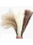 Doğal Pampas Otu Kurutulmuş Çiçekler Dekor 65 Parça 45 cm Kabarık (Yurt Dışından) 1