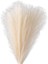 Sahte Pampas Çimi, 18IN/45CM Yapay Pampas Çimi Kabarık (Bej) (Yurt Dışından) 1