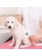 Luxury Kedi Köpek Tüy Toplayıcı Pet Tarak 20 cm 1 Adet 2