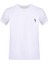 Parrot Tshirt 1