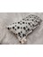 Luxury Coddry Kedi Yastığı 1 Adet 1
