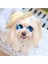 Luxury Hasır Süs Moda Pet Köpek Şapka 1 Adet 1