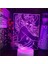 Çocuklar Için Anime One Piece Şekil 3D Gece Lambası, Uzaktan Kumanda ile Değişen 16 Renk, Çocuk Odası Dekoru, Şekil Manga Illusion LED Oyuncak Lamba Kız Erkek Noel Hediyeleri (Yurt Dışından) 1