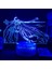 Anime Akame Ga Kill Figure 3D Çocuk Için, Uzaktan Kumanda ile Değişen 16 Renk, Çocuk Odası Dekoru, Şekil Manga Illusion LED Oyuncak Lamba Kız Erkek Çocuklar Için Noel Hediyeler (Yurt Dışından) 1