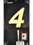 Pasta Üstü Pleksi Rakam Gold 4 1