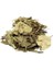 Testere Dişli Aslan Pençesi. Alchemilla Vulgaris. 100 gr 1
