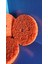 Aşındırıcı Pas Giderici Disk Turuncu 2